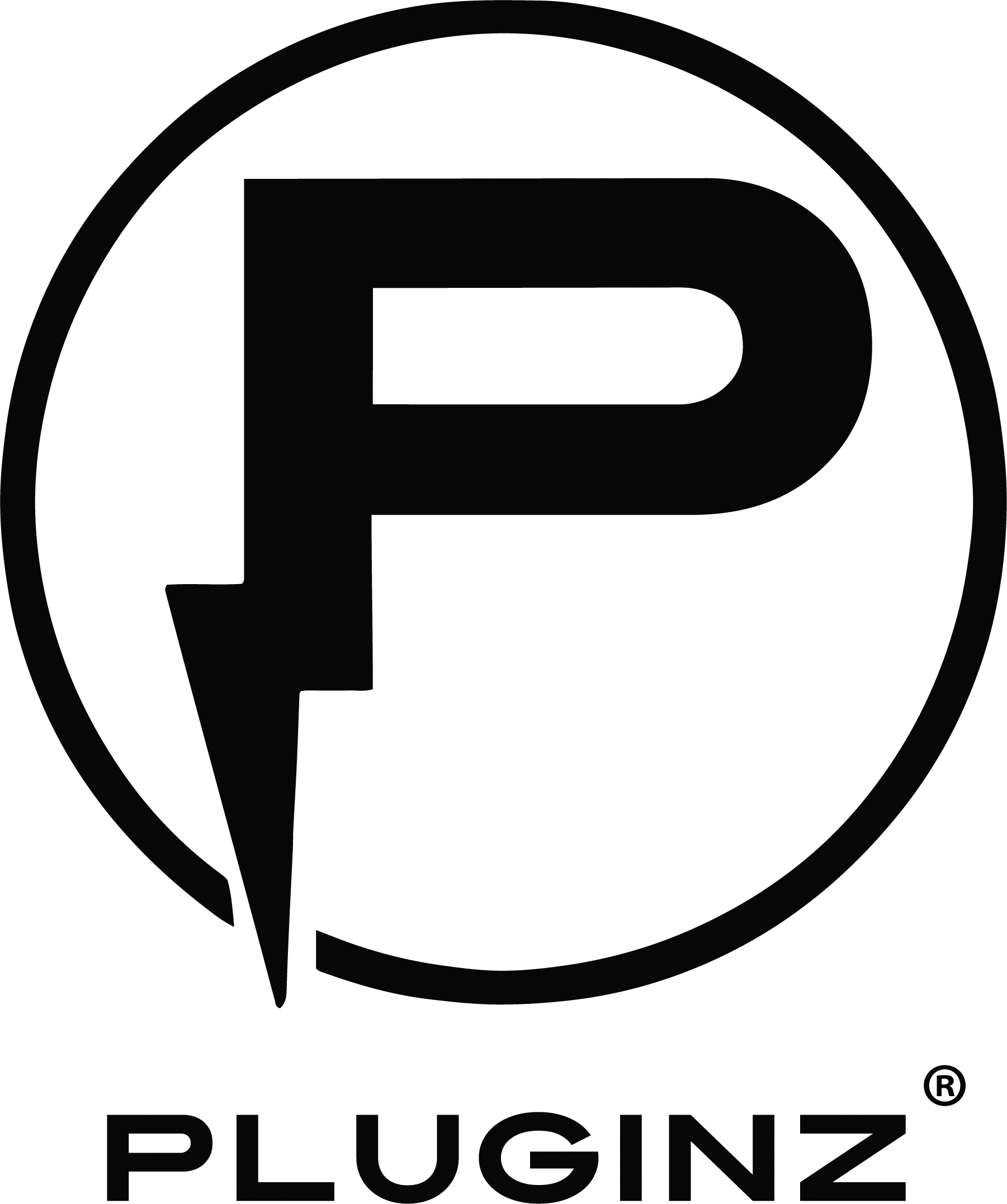 Pluginz Keychains logo